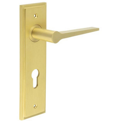 Satin Brass Euro Backplate Door Handle - Elegant and Durable - Solid Brass Interior Handle