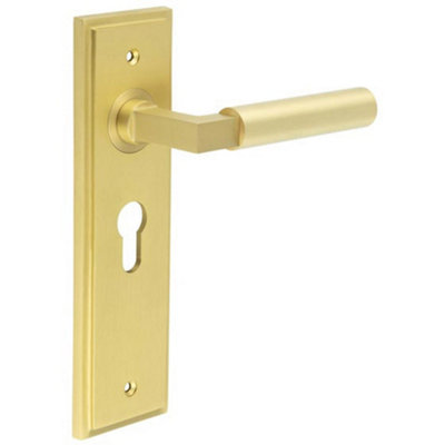 Satin Brass Euro Backplate Door Handle for Modern Homes - Solid Brass Interior Lever