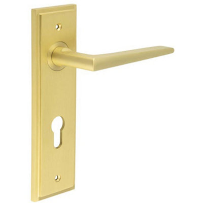 Satin Brass Euro Backplate Door Handle - Modern Luxury - Solid Brass Interior Handle