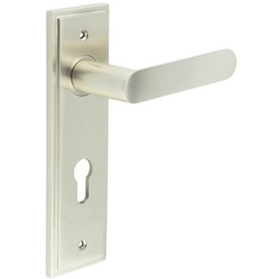 Satin Nickel Door Handle with Euro Backplate - Elegant Solid Brass Design - Solid Brass Interior Handle
