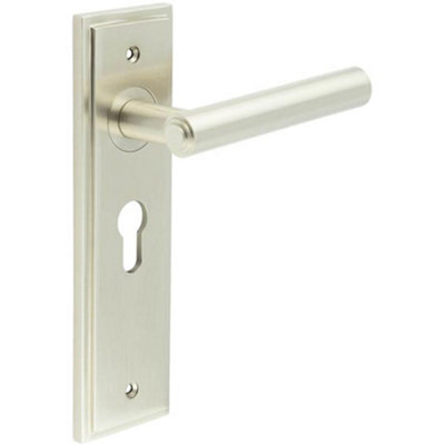 Satin Nickel Euro Backplate Door Handle - Elegant Solid Brass Design - Solid Brass Interior Lever