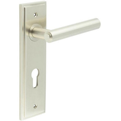 Satin Nickel Euro Backplate Door Handle - Elegant Solid Brass Lever - Solid Brass Interior Lever