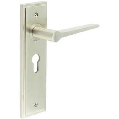 Satin Nickel Euro Backplate Door Handle for Modern Homes - Solid Brass Interior Handle