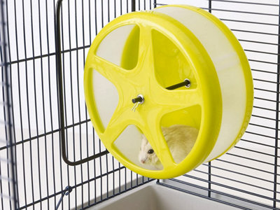 Savic Hamster Wheel Exercise Training Rodents Rats Mice Large 18cm