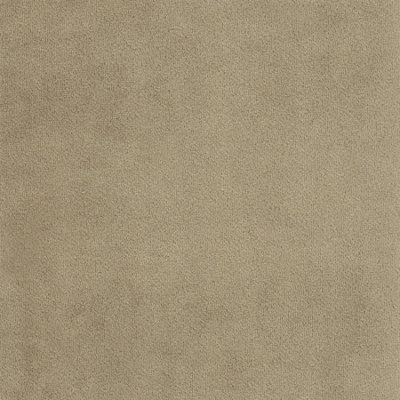 Savoy Velvet Armchair - Tan Mocha