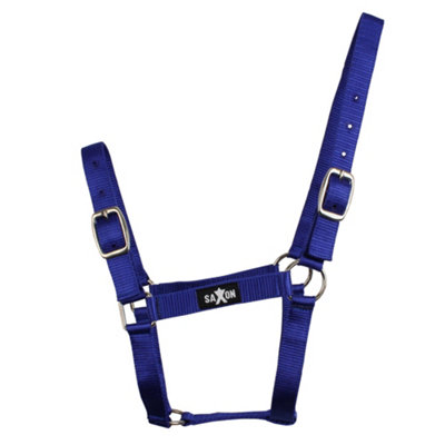Saxon Economy Headcollar Royal Blue (Warmblood) Price Comparisons | Compare The Build
