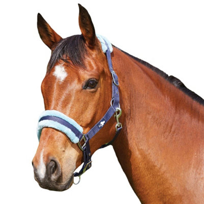 Celtic Equine Nylon Headcollar In Navy