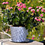 Scalloped Metal Tea Cup Indoor Outdoor Summer Garden Planter Pot