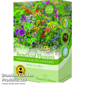 Scatter Seed Pack Flower Garden Perfect for Pollinators 1 Pack (200g . 15g Of Seed)