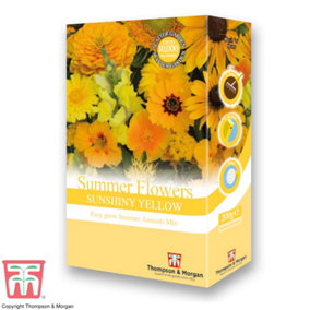 Scatter Seed Pack Summer Flowers Colour Theme Yellow 1 Pack (200g . 15g Of Seed)