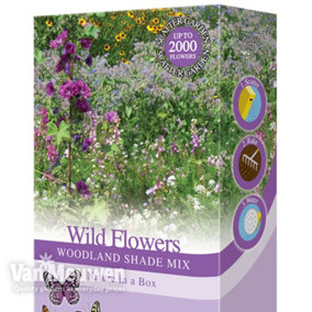 Scatter Seed Pack Woodland Shade Wild Flowers Mix 1 Pack (200g . 15g Of Seed)
