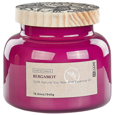 Scented Candle DELIGHT BLISS Soy Wax Fruity Notes