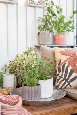 Scheurich 909 Indoor Cover Flower Plant Pot Perla 24cm