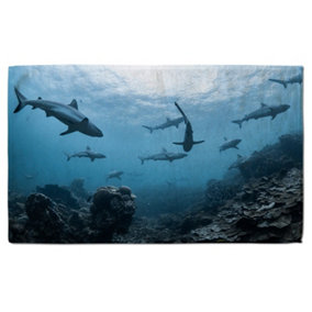 Schooling grey reef sharks, Ningaloo reef, Western Australia (Bath Towel) / Default Title