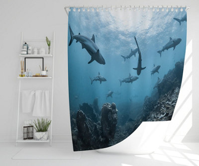 Schooling grey reef sharks, Ningaloo reef, Western Australia (Shower Curtain) / Default Title Price Comparisons | Compare The Build