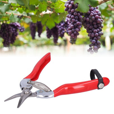 Scissors for Pruning Flowers and Gardening:Fruit and Flower Picking Shears