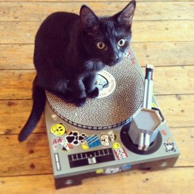 Scratcher DJ Decks Cat Toy & Kitten Toys