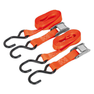 Sealey Cam Buckle Tie Down 25mm x 2.5m Polyester Webbing 500kg TD05025CS