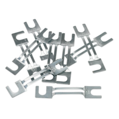 Sealey Fuse 100A 99 x 20mm Large Pack of 10