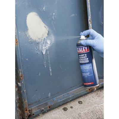 Sealey Paint & Gasket Remover 500ml SCS042S