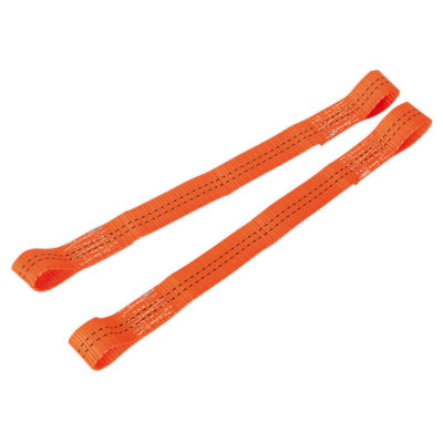 Sealey Tie Down Securing Loop Polyester Webbing Breaking Strain 2000kg 2pc TDL01