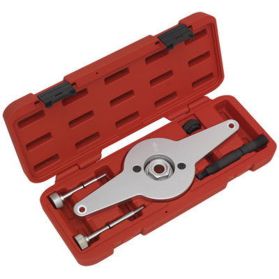 Sealey Vibration Damper Holding Tool Fits VW Audi Group 1.8/2.0 TFSi Chain Drive VSE4251