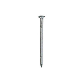 Securfix Round Galvanised Wire Nails Steel (250g)