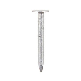 Securfix Trade Pack Galvanised Clout Nails (Pack of 10) Silver (One Size)