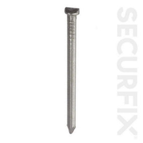 Securfix Trade Pack Oval Nails Silver (250g)