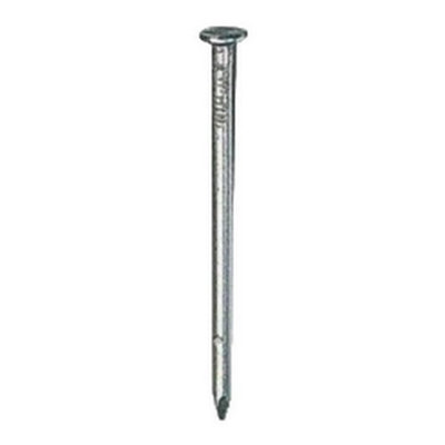 Securfix Trade Pack Round Nails Silver (65mm)