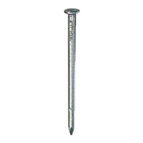 Securfix Trade Pack Round Wire Nails Silver (One Size)