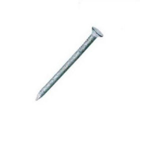 Securpak Round Galvanised Wire Nails Silver (120g)