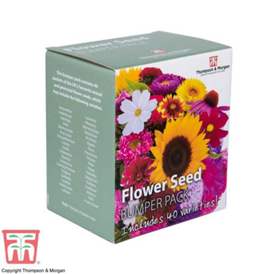 Seed Grow Kit Flower Bumper Pack (40 Varieties) - 1 Pack