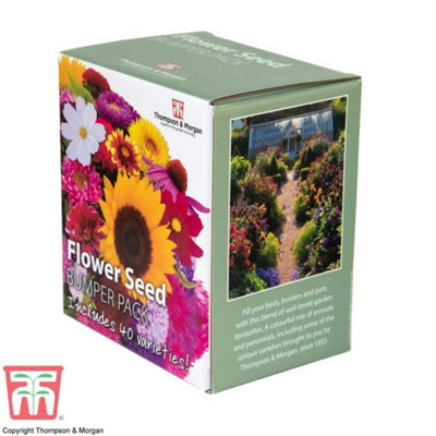 Seed Grow Kit Flower Bumper Pack (40 Varieties) - 1 Pack