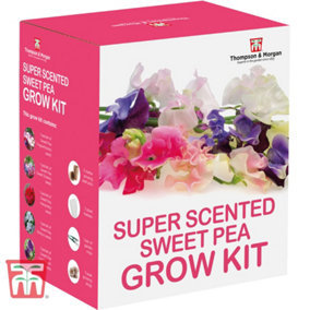 Seed Grow Kit Sweet Peas - 1 Pack