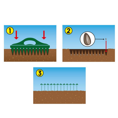 Seed Hole Dibber with 12 prongs for accurate planting depth and spacing, easy-to-use grab handle. H13 x L30cm