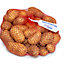 Seed Potato 'Charlotte' - 2.5kg Bag, 35-40 Tubers, Planting in UK Gardens, Grow Your Own Potatoes