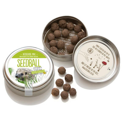 Seedball Hedgehog Mix 20 Balls/50 Seeds