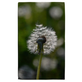Seedhead of a Dandelion in spring, on a field close up flower head, fluffy flower (Bath Towel) / Default Title