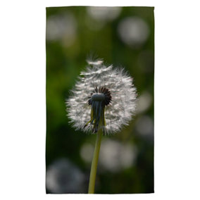 Seedhead of a Dandelion in spring, on a field close up flower head, fluffy flower (Kitchen Towel) / Default Title