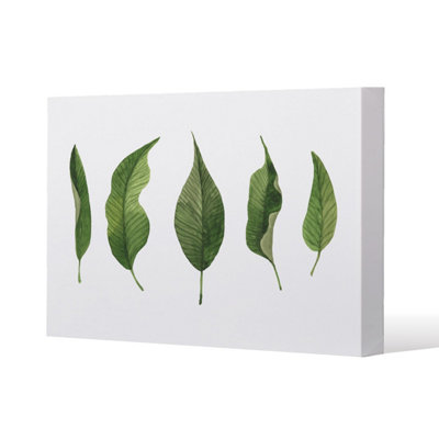 Selection Of Leaves (Canvas Print) / 127 x 127 x 4cm