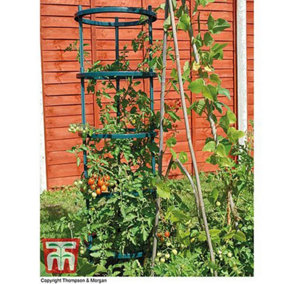 Self-Watering 4 Tier Fruit, Vegetable and Vine Plant, Support Grower, 1.5m Weatherproof Tower Garden Planter x 1