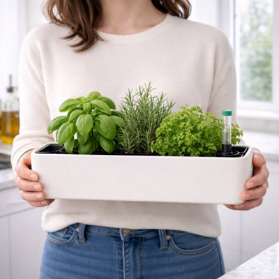 Self Watering Herb Planter Box with Water Level Indicator - Rectangular ...