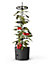 Self-watering Tomato Pot, trough, planter - extendable trellis - vegetables, flowers - 290mm dia, 1090mm tall, 14L