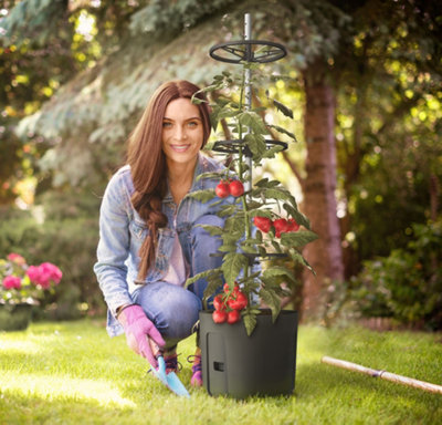 Self-watering Tomato Pot, trough, planter - extendable trellis - with Vermiculite - 290mm dia, 1090mm tall, 14L - Twin Pack