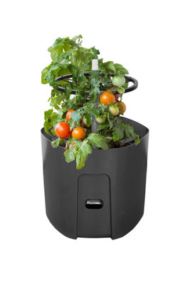 Self-watering Tomato Pot, trough, planter - extendable trellis - with ...