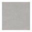 Sentry Grey Matt Porcelain 300x600mm Tile - Cut Sample