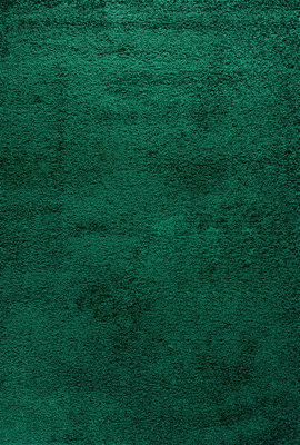 Serdim Rugs Plain Living Room Shaggy Area Rugs Emerald 200x290 cm