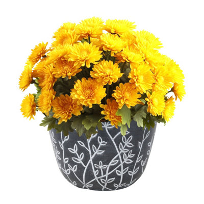 Serenity Pot Planter Round Plastic Black White Flower Plant Garden 25cm 3Pcs - 3