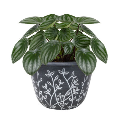 Serenity Pot Planter Round Plastic Black White Flower Plant Garden 25cm 3Pcs - 5